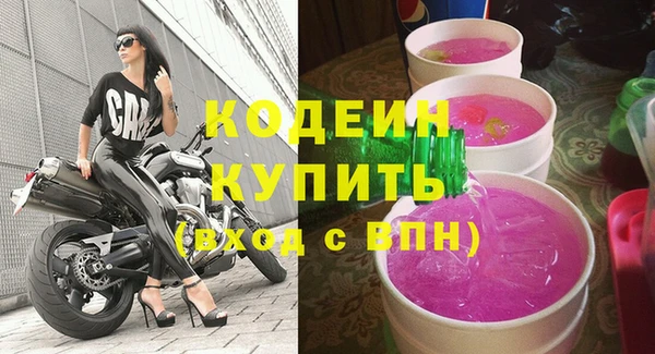 прущие грибы Верея