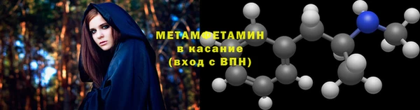 прущие грибы Верея