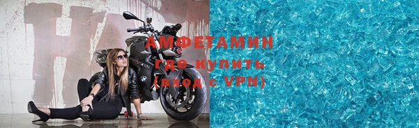 прущие грибы Верея
